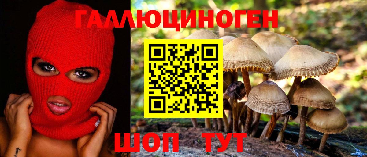 Псилоцибиновые грибы мицелий Анапа